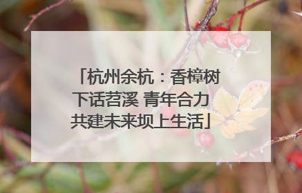 杭州余杭：香樟树下话苕溪 青年合力共建未来坝上生活