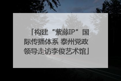 构建“紫藤IP”国际传播体系 泰州党政领导走访李俊艺术馆