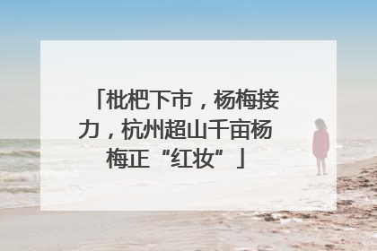 枇杷下市，杨梅接力，杭州超山千亩杨梅正“红妆”