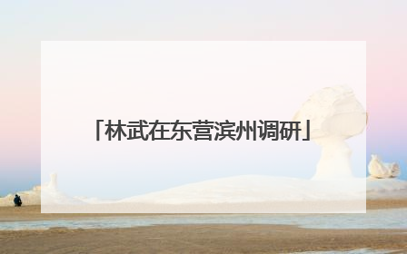林武在东营滨州调研