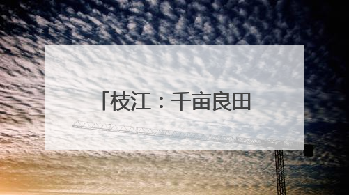 枝江：千亩良田结“金穗”，绿色循环助增收