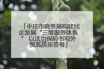 枣庄市商务局构建民企发展“三维服务体系” 以法治保障书写外贸高质量答卷