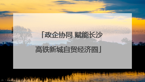政企协同 赋能长沙高铁新城自贸经济圈