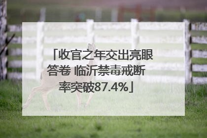 收官之年交出亮眼答卷 临沂禁毒戒断率突破87.4%
