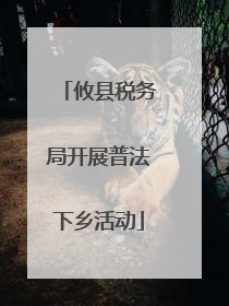 攸县税务局开展普法下乡活动