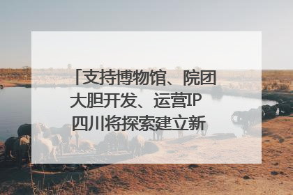 支持博物馆、院团大胆开发、运营IP 四川将探索建立新的收入分配激励机制｜新闻发布最前线