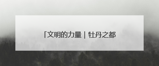 文明的力量｜牡丹之都吹拂文明新风——山东菏泽文明创建一线见闻