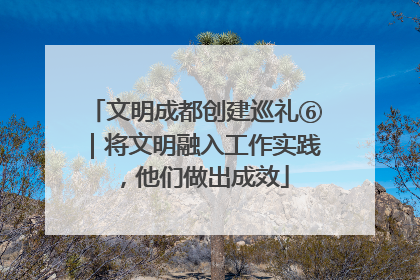 文明成都创建巡礼⑥｜将文明融入工作实践，他们做出成效