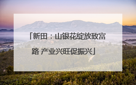 新田：山银花绽放致富路 产业兴旺促振兴