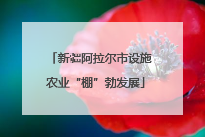 新疆阿拉尔市设施农业“棚”勃发展