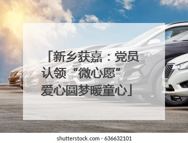 新乡获嘉：党员认领“微心愿” 爱心圆梦暖童心