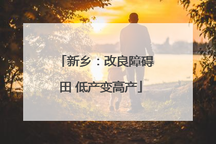 新乡：改良障碍田 低产变高产