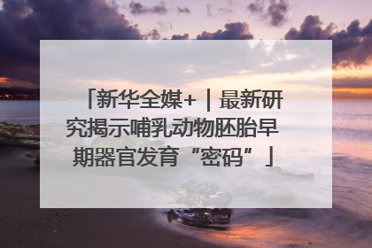 新华全媒+｜最新研究揭示哺乳动物胚胎早期器官发育“密码”