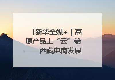 新华全媒+｜高原产品上“云”端——西藏电商发展一线观察