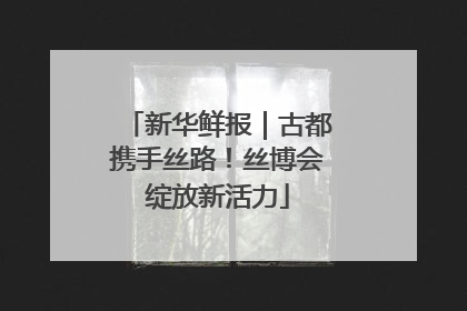 新华鲜报｜古都携手丝路！丝博会绽放新活力