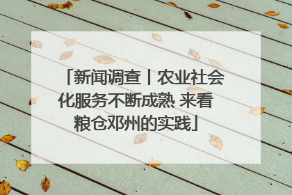新闻调查丨农业社会化服务不断成熟 来看粮仓邓州的实践