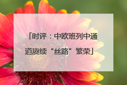时评：中欧班列中通道赓续“丝路”繁荣