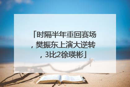时隔半年重回赛场，樊振东上演大逆转，3比2徐瑛彬