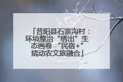 昔阳县石寨沟村：环境整治“绣出”生态画卷 “民宿+”撬动农文旅融合