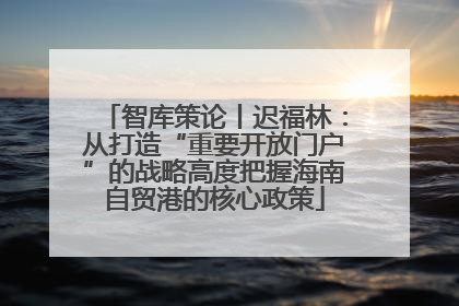 智库策论丨迟福林：从打造“重要开放门户”的战略高度把握海南自贸港的核心政策