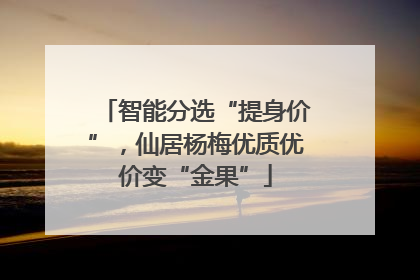 智能分选“提身价”，仙居杨梅优质优价变“金果”