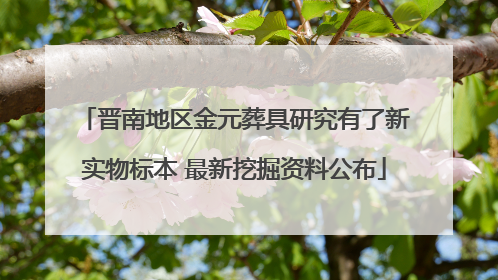 晋南地区金元葬具研究有了新实物标本 最新挖掘资料公布