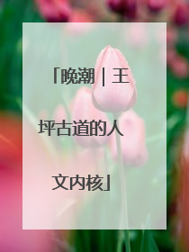 晚潮｜王坪古道的人文内核