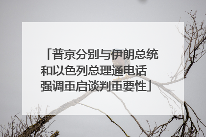 普京分别与伊朗总统和以色列总理通电话 强调重启谈判重要性