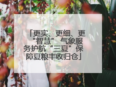 更实、更细、更“智慧” 气象服务护航“三夏”保障夏粮丰收归仓