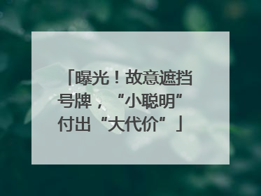 曝光！故意遮挡号牌，“小聪明”付出“大代价”