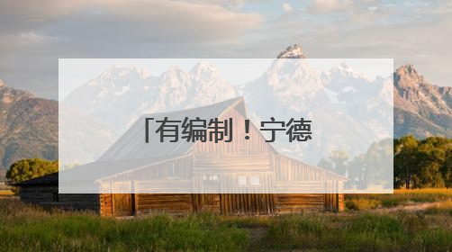有编制！宁德发布招聘公告