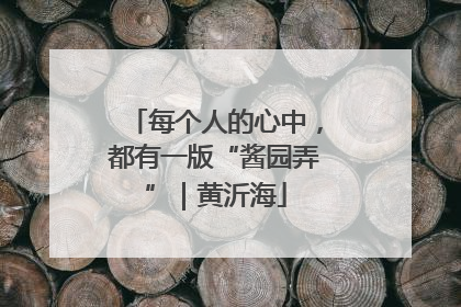 每个人的心中，都有一版“酱园弄”｜黄沂海