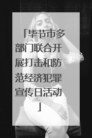 毕节市多部门联合开展打击和防范经济犯罪宣传日活动