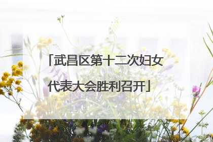 武昌区第十二次妇女代表大会胜利召开