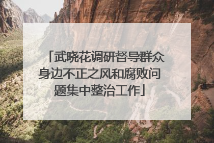 武晓花调研督导群众身边不正之风和腐败问题集中整治工作