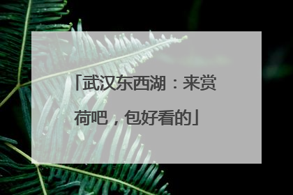 武汉东西湖：来赏荷吧，包好看的