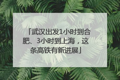 武汉出发1小时到合肥、3小时到上海，这条高铁有新进展