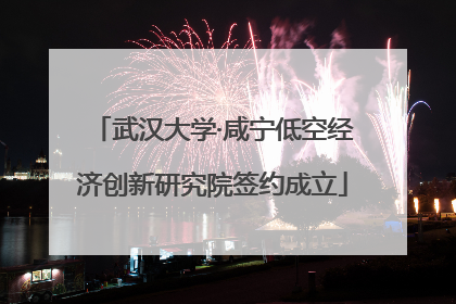 武汉大学·咸宁低空经济创新研究院签约成立