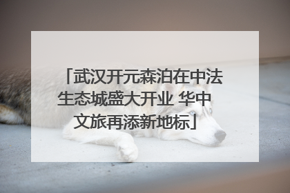 武汉开元森泊在中法生态城盛大开业 华中文旅再添新地标
