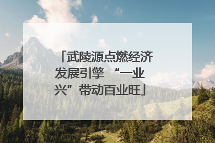 武陵源点燃经济发展引擎 “一业兴”带动百业旺