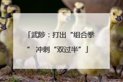 武陟：打出“组合拳” 冲刺“双过半”