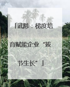 武陟：梯度培育赋能企业“拔节生长”