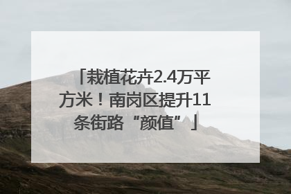 栽植花卉2.4万平方米！南岗区提升11条街路“颜值”