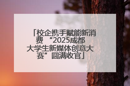 校企携手赋能新消费 “2025成都大学生新媒体创意大赛”圆满收官