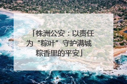 株洲公安：以责任为“粽叶”守护满城粽香里的平安