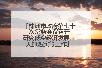 株洲市政府第七十三次常务会议召开 研究低空经济发展、大抓落实等工作