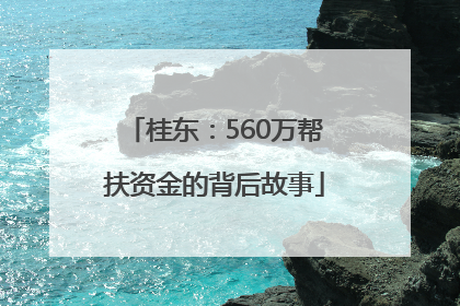 桂东：560万帮扶资金的背后故事