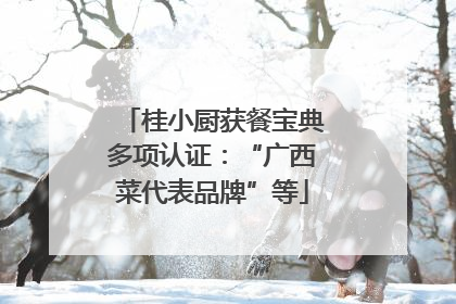 桂小厨获餐宝典多项认证：“广西菜代表品牌”等