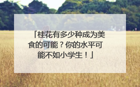桂花有多少种成为美食的可能？你的水平可能不如小学生！