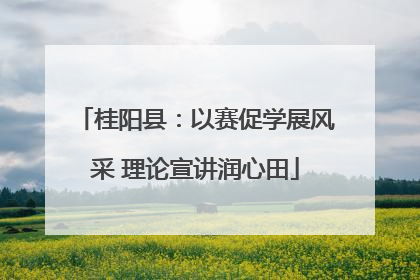 桂阳县：以赛促学展风采 理论宣讲润心田